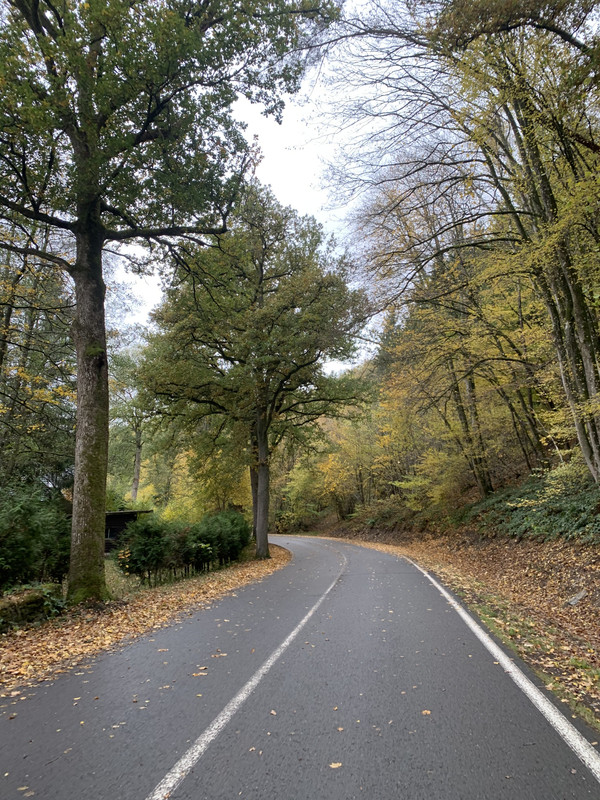 89C7FB6D-FDD0-4223-83D1-B5EA2CCCCF79