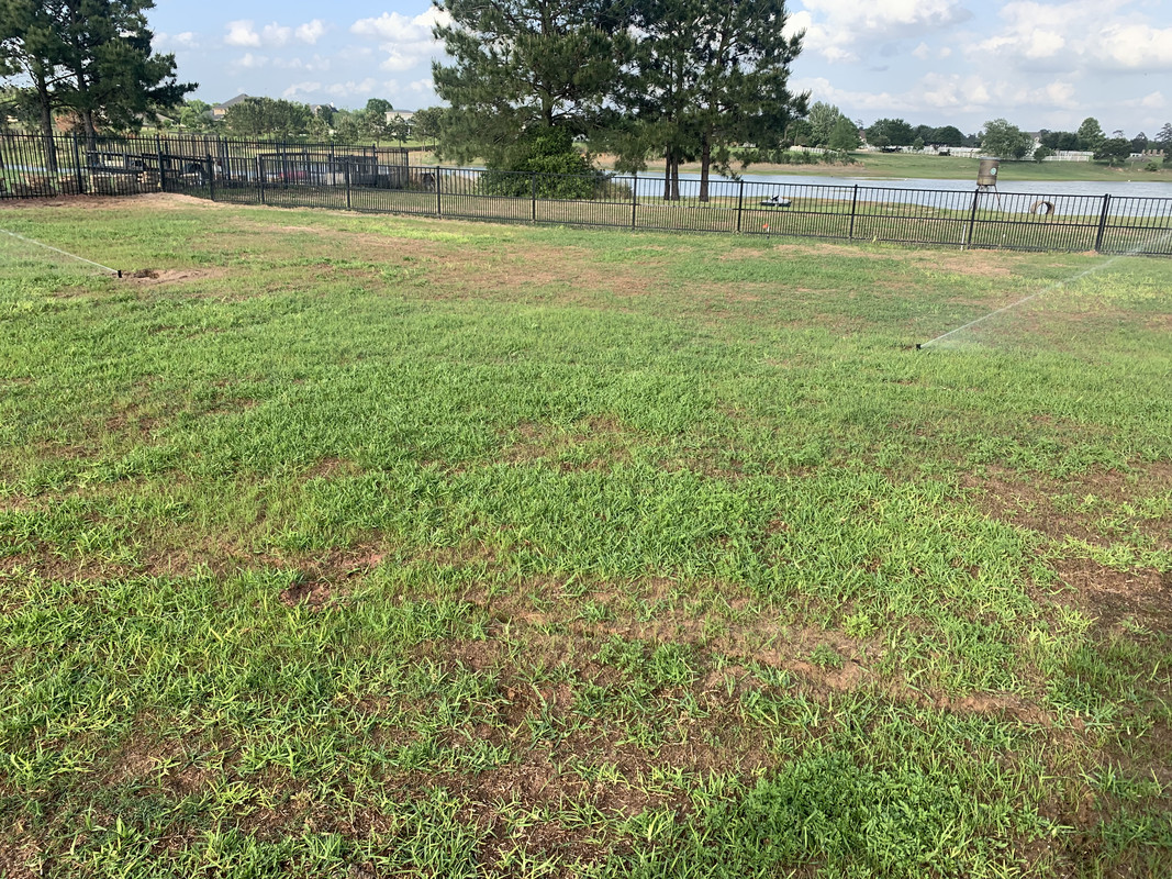 5A975B91-7592-420E-9C3A-6375845A758A