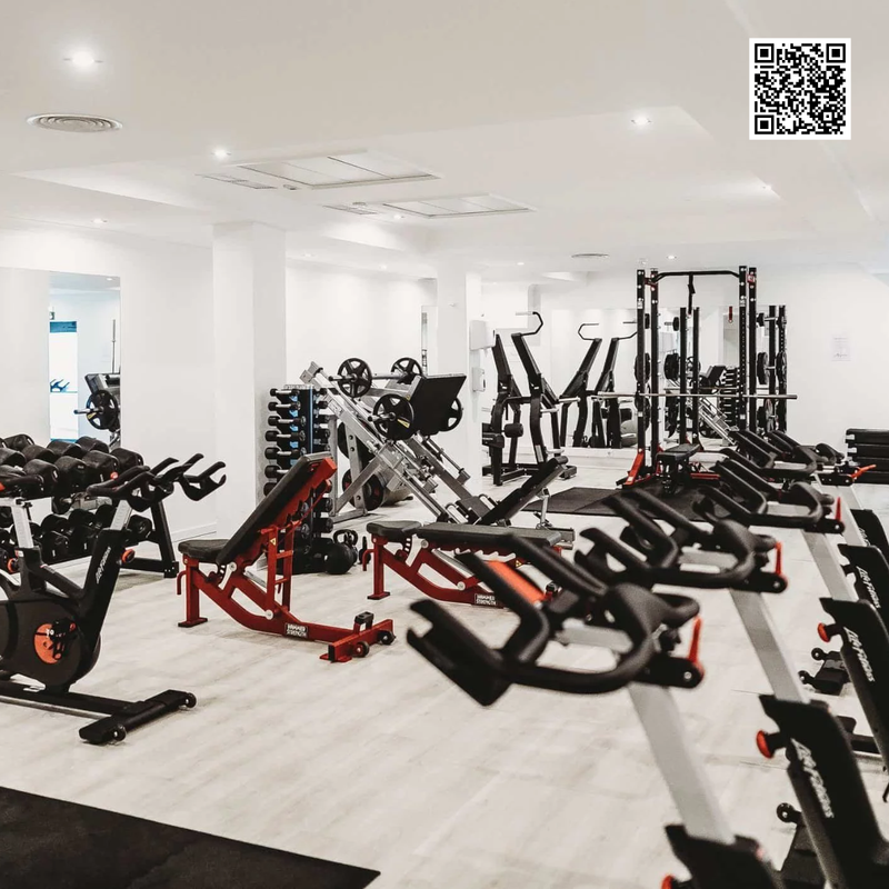 Top Brands of Gym Equipment and Why They Matter