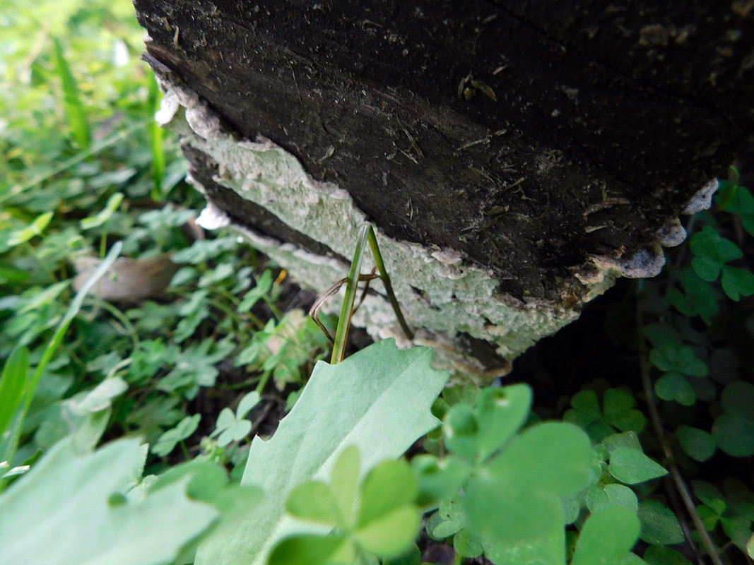 DSCN0191.jpg