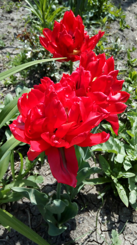 IMG_20190421_145955