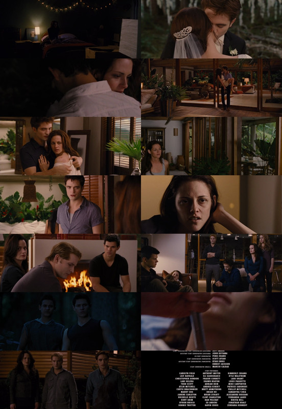 The Twilight Saga: Breaking Dawn - Part 1 (2011) 1080p | 720p | 480p BluRay [Hindi (हिन्दी) + English] DD5.1 ESub