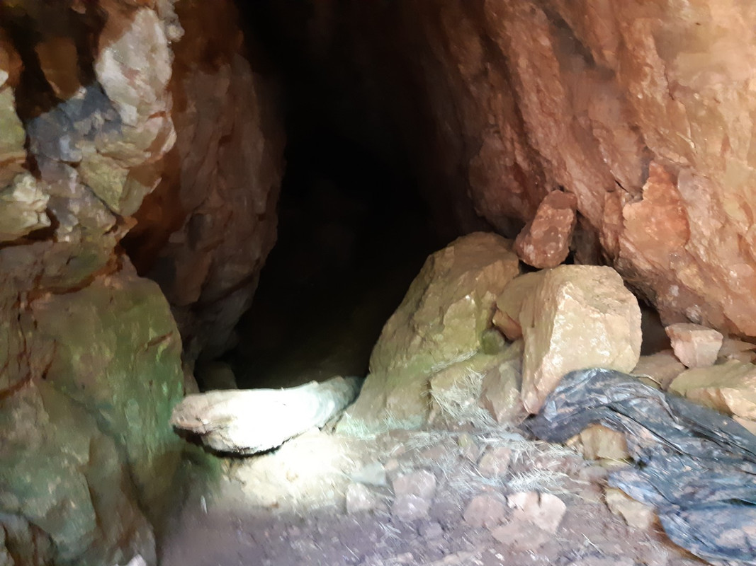 11.05 - 20200613_122800 (PiTT)