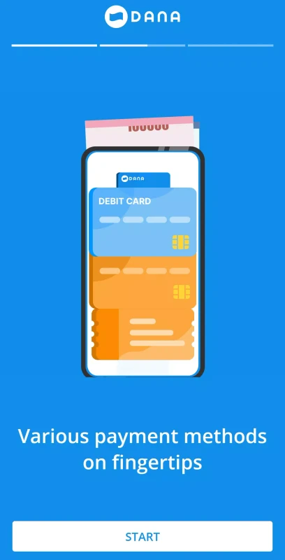 Vee Dana digital wallet