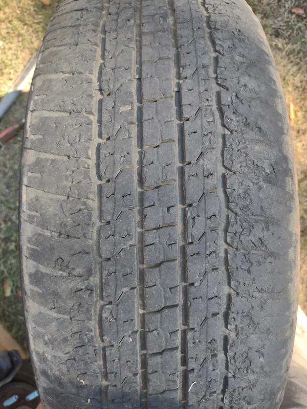 IMG_20221021_150115401