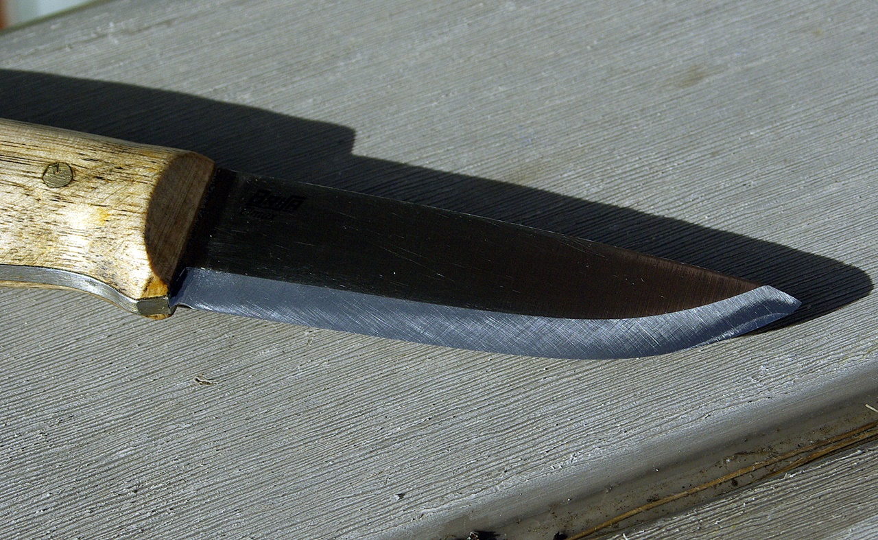 IGP2162.jpg