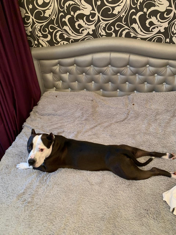 53D9F43B-BB72-4557-93ED-FD5572D9C9C6