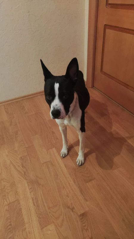 WhatsApp Image 2024-04-12 at 13.42.14 (1)