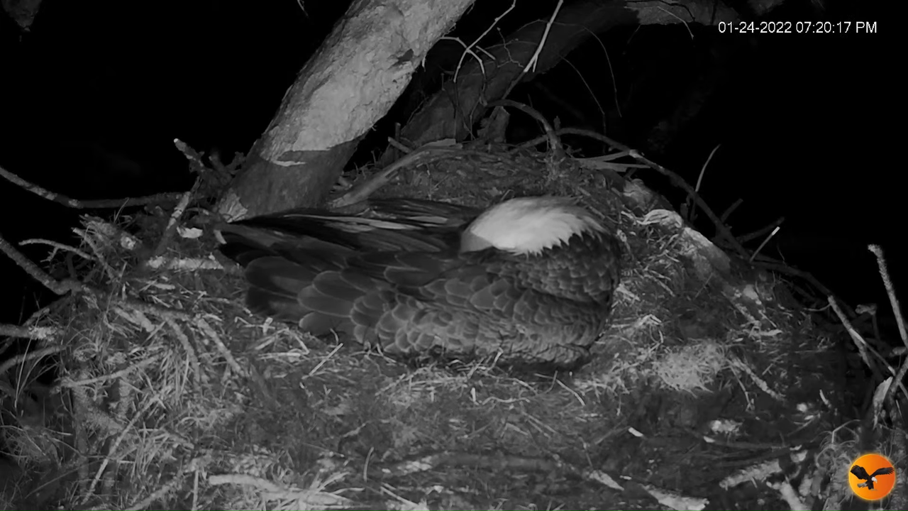 EC 4K Overhead Cam 13-2-39 screenshot