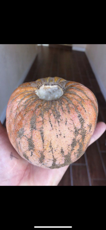 87AD8321-F15E-4DF5-B791-4A53FCC393D5