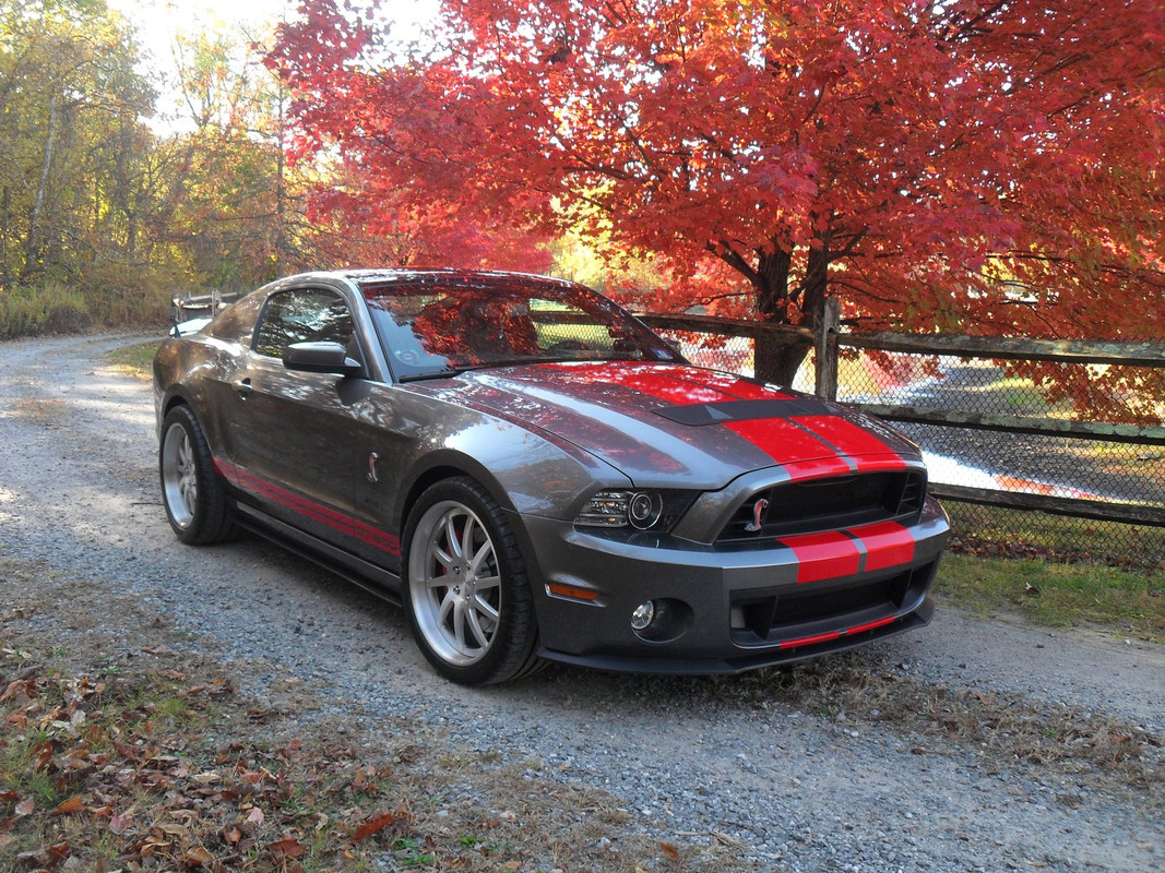 X-S/F Fall pic run - 2 099