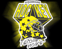 logo81
