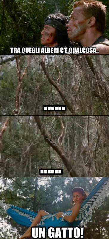673068302 1502812831415843 5110509364292492924 n