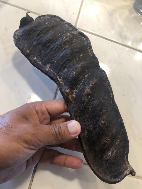 23FC50D5-2810-40B9-939C-ACA224CE0DA2