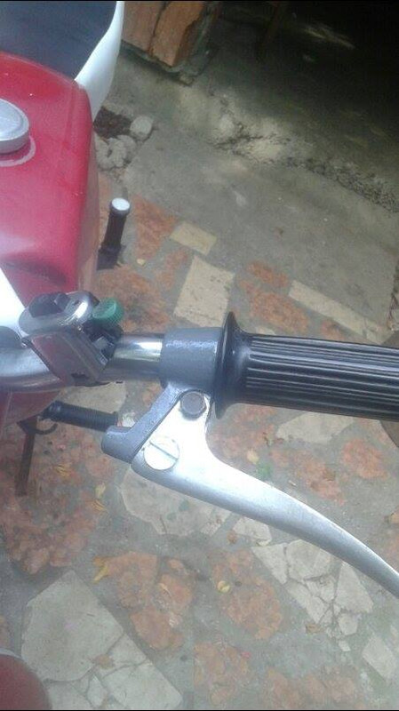 11997339_517534175079721_946160986_n