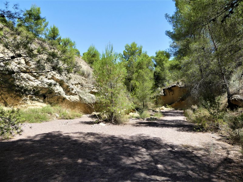 RUTA DE LAS CARAS EN LA RAMBLA DEL CIGARRON-23-7-2020 - Murcia y sus pueblos-1991/2022 (41)