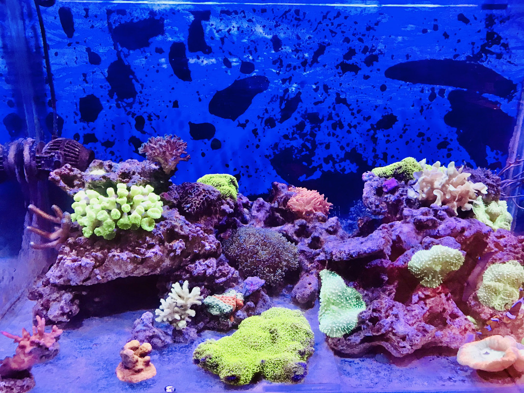 94DF3401-BB33-4A5C-A127-BD02364B8FF5