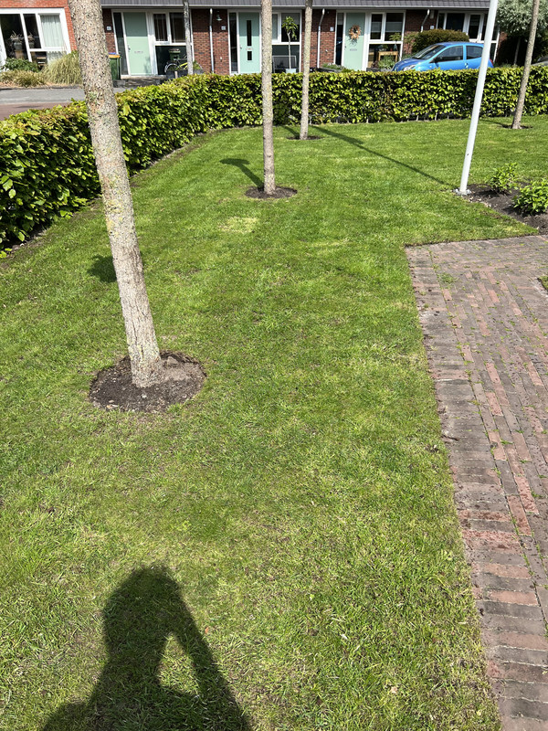 9946401C-3F47-45EC-994B-1C7BC7D67BBF