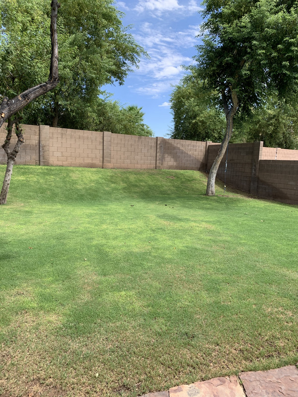 2D1ADE3F-F7AE-4363-AFAD-07D3E0ABF3F8