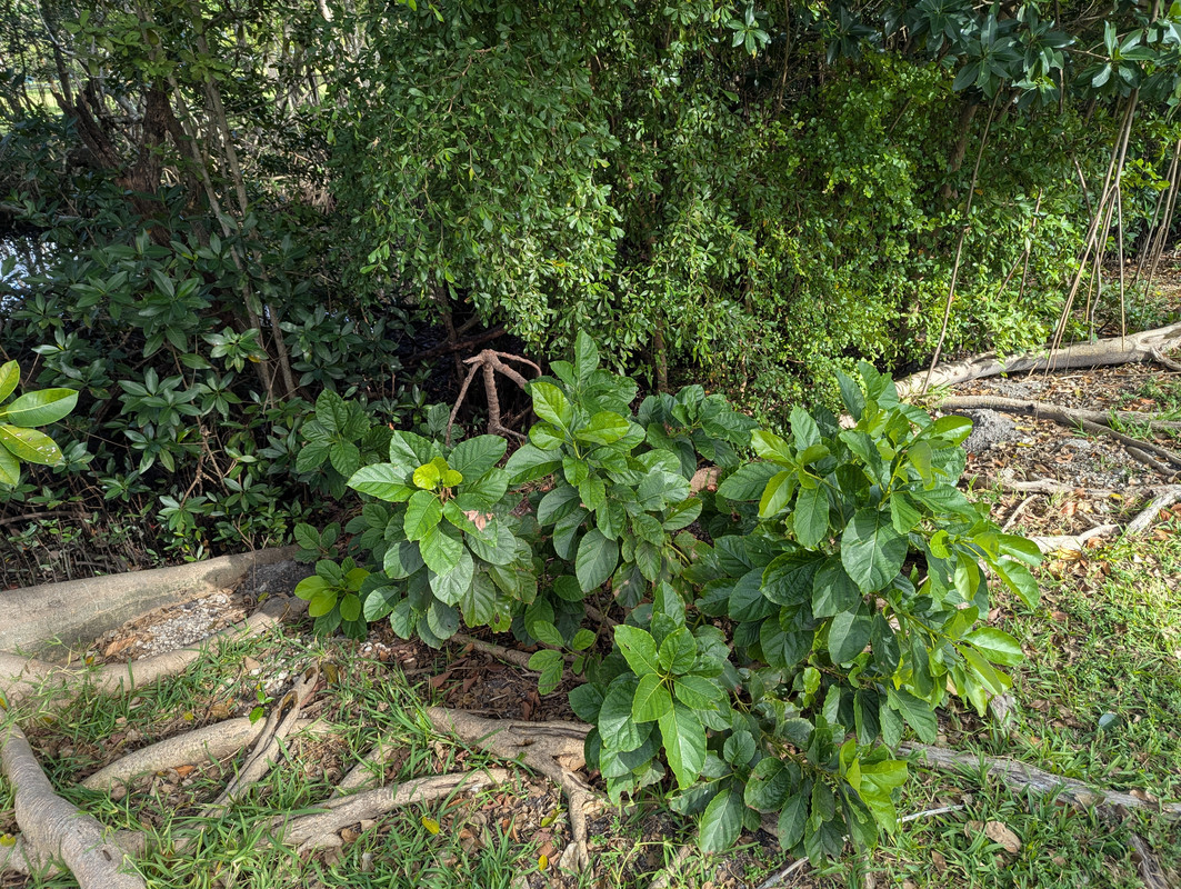 PXL_20241225_192034313