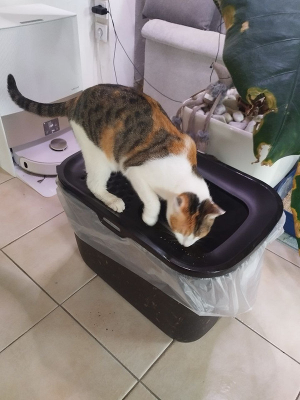 photo 2026 02 06 17 32 09