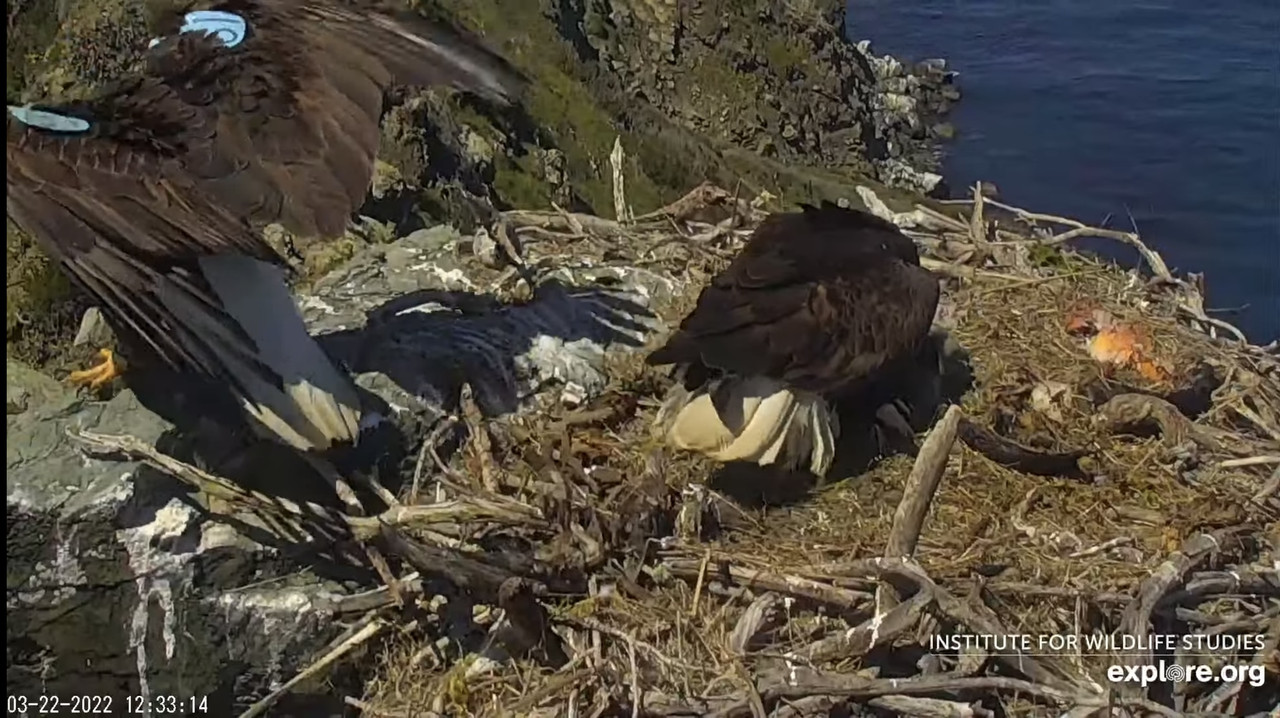 EC3E2D62-4630-409A-8210-E5B41D4D322C