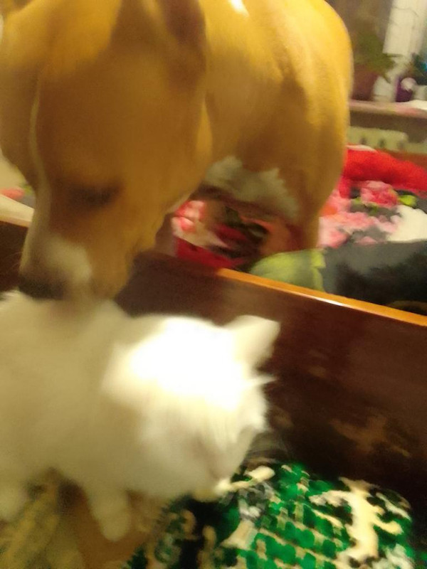 BF1F9E82-BD16-40EE-A209-9188D6137094