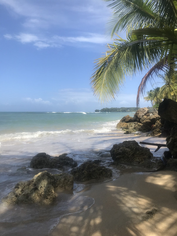 E34FA466-F904-48E0-B5AC-39C2D9CDCB0C