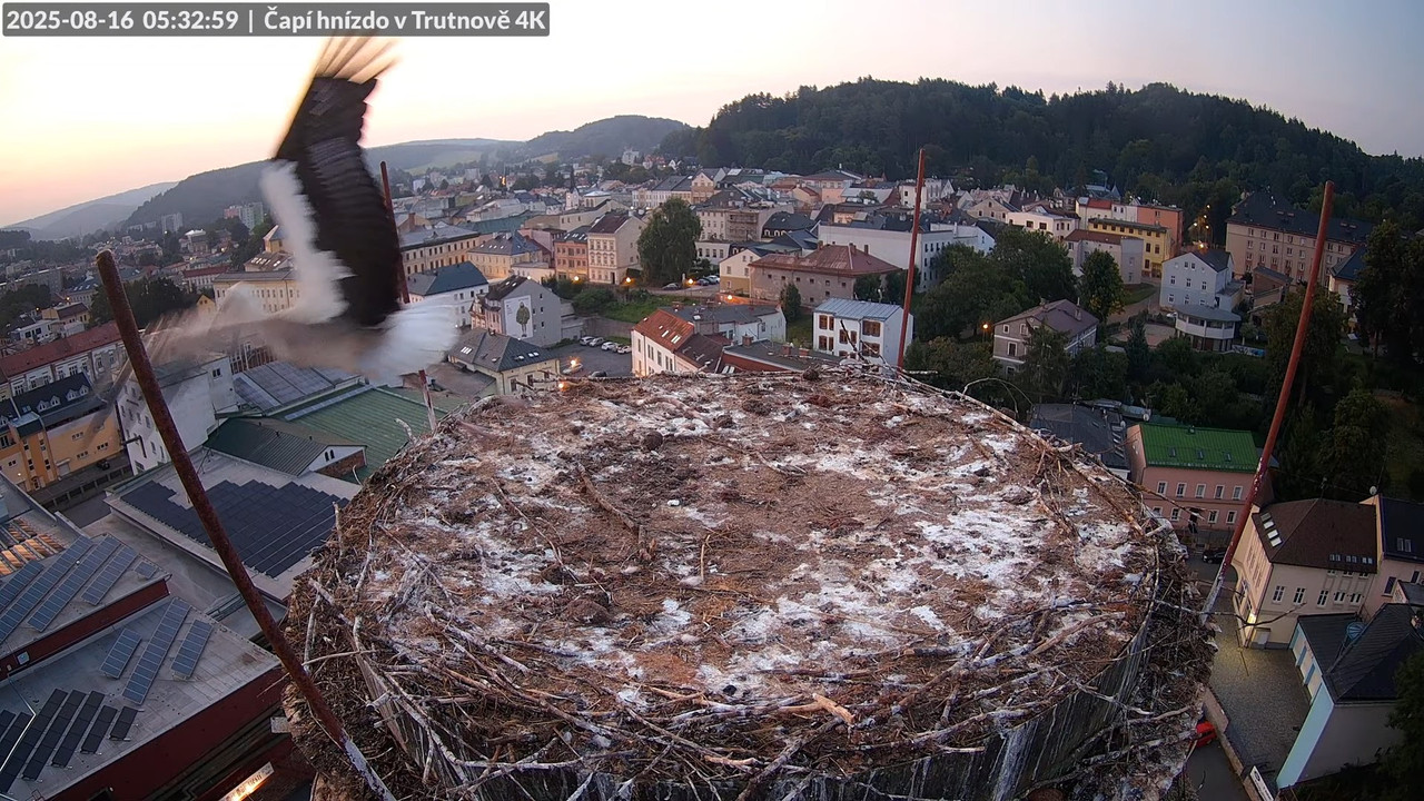 Živě z čapího hnízda na pivovarském komíně v Trutnově 8-11-50 screenshot