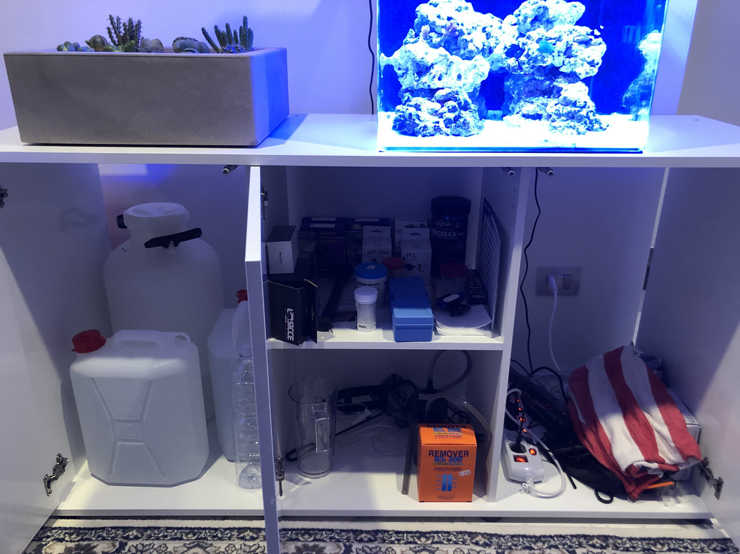 0A01C41D-236C-43F0-B297-49452AF6F310