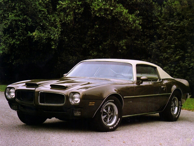 Pontiac Firebird / auto
