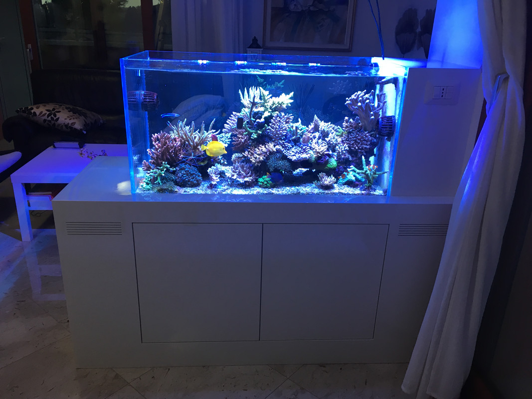 0C58D68B-A3F6-44D4-818F-FD35DB259C8D