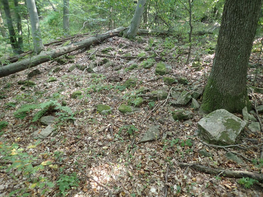 RUTIZAM SRBIJA - DragoševacJerinin grad (jagodinski)