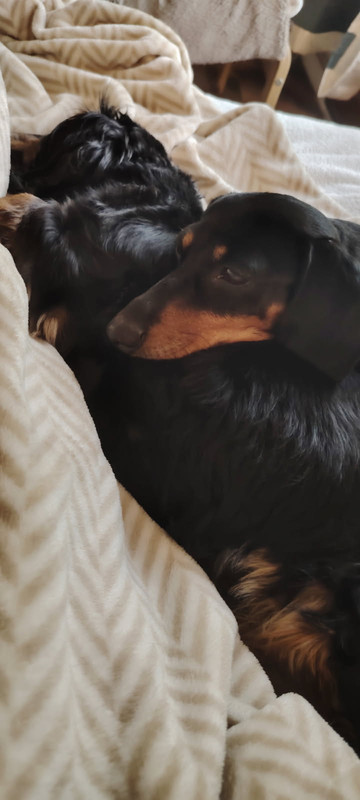 [Image: image0000011-2.jpg]