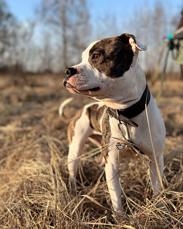 7E1A96E2-035B-402F-B105-2AB55C2EC786