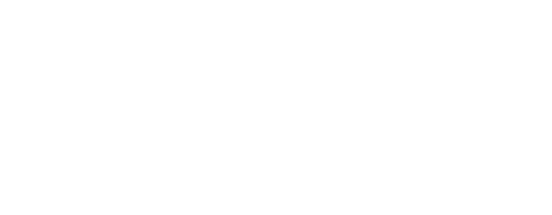 JZL Logo White