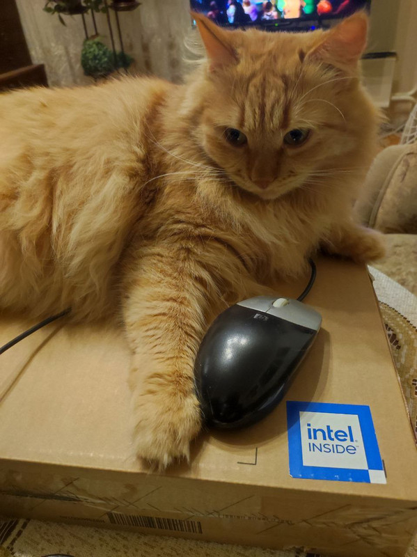 IMG_20230923_113816_751