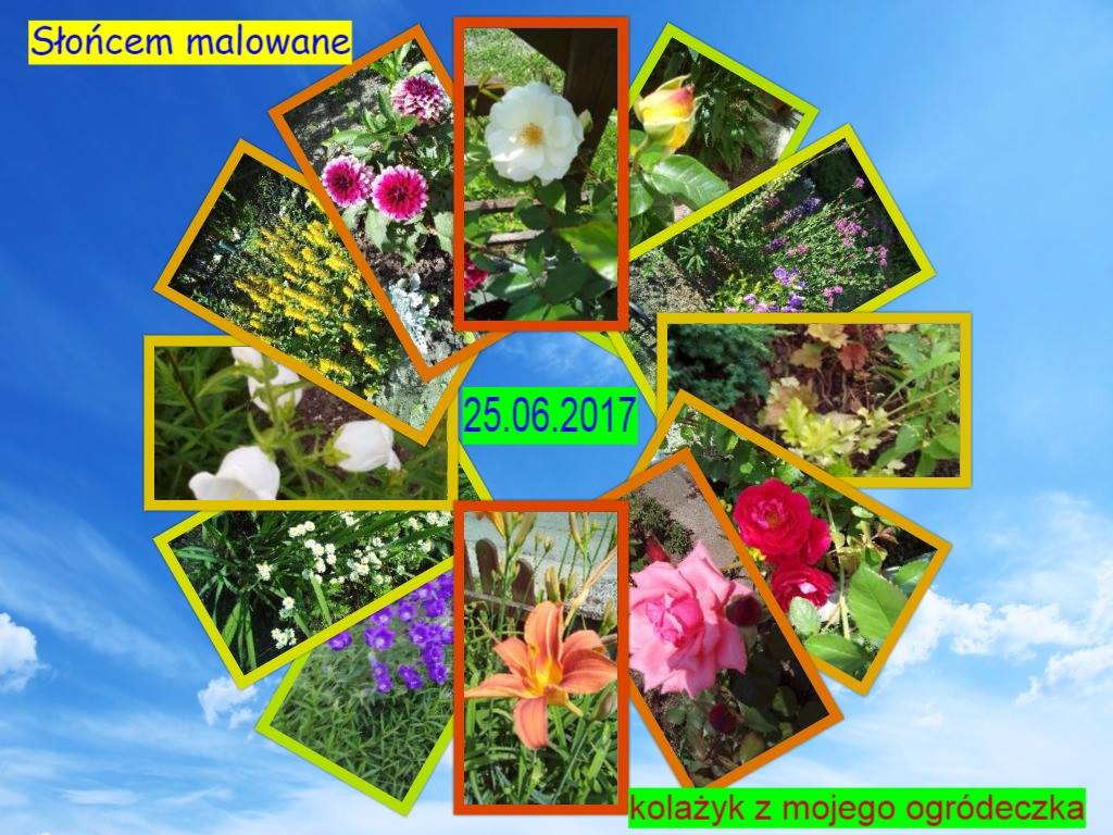 19452837-1339182872818099-25253699396445