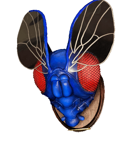 Bug Dance Gif