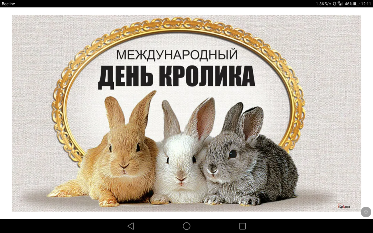 Screenshot_2023-09-23-12-11-01