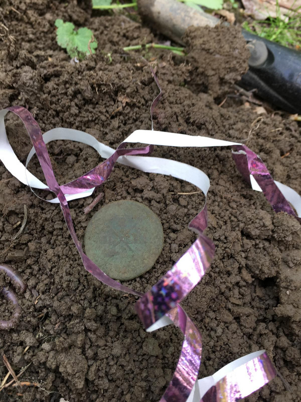 6DACA906-451D-437E-B60C-7B74C3DC7AA3