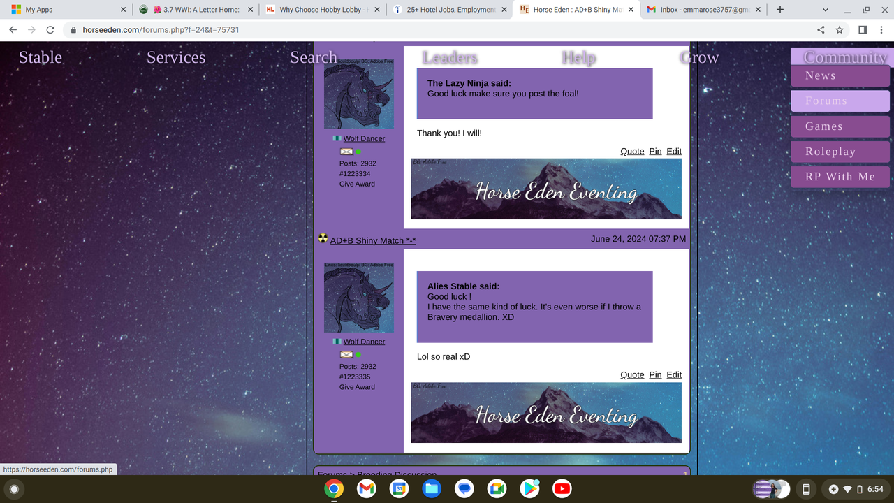 Screenshot-2024-06-24-6-54-28-PM.png