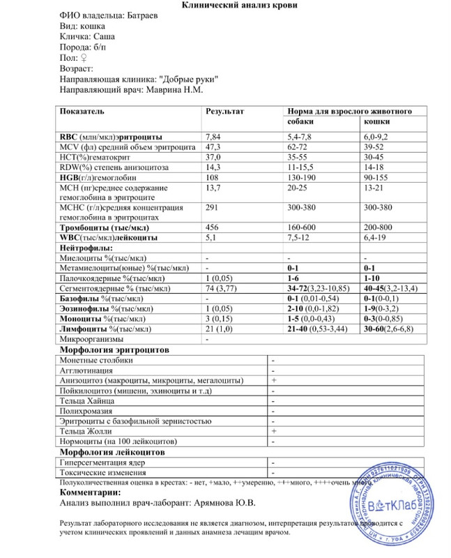 5 EB7 C50 F 76 B1 4 DB5 8446 FC5 D5 C336851 — Postimages