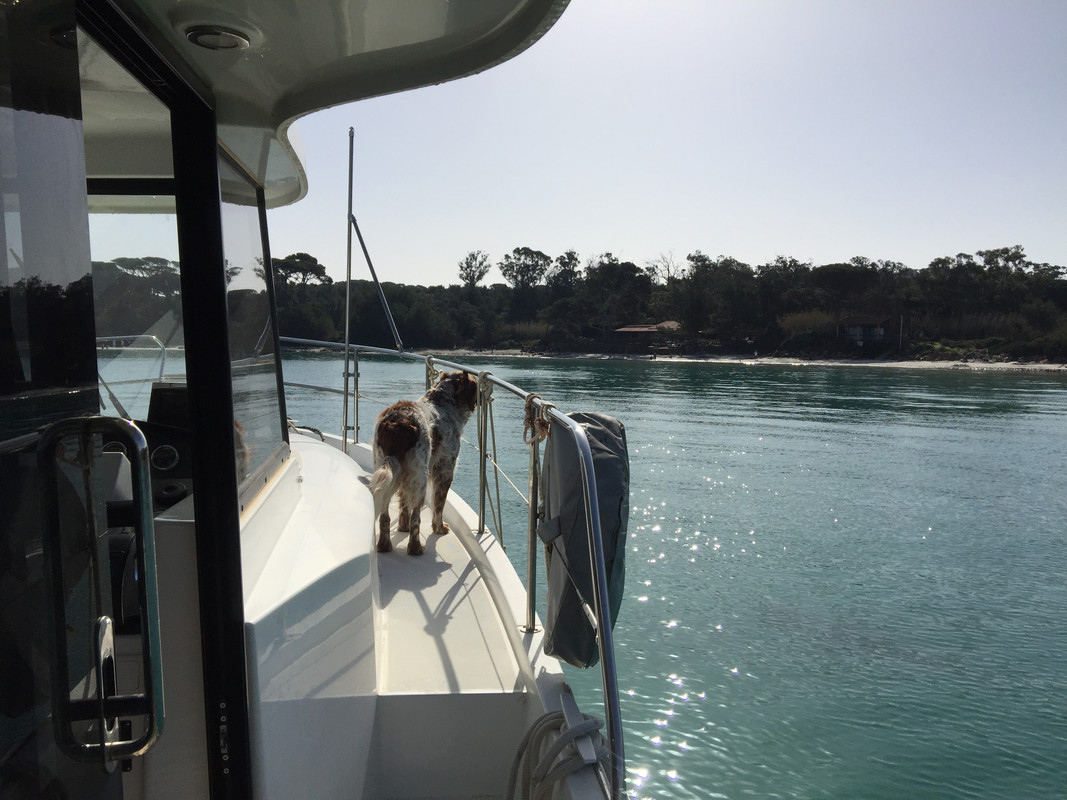 E200A2CE-C443-4147-A161-8ECE0BF5AE01