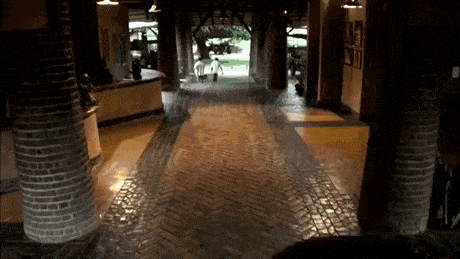 GIFs-1