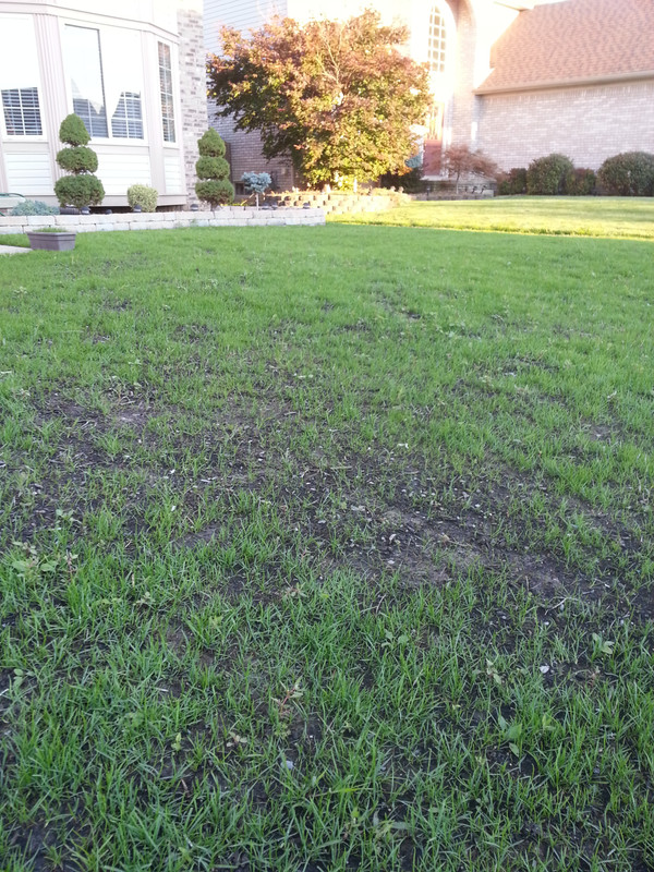 20140913_day 35 main