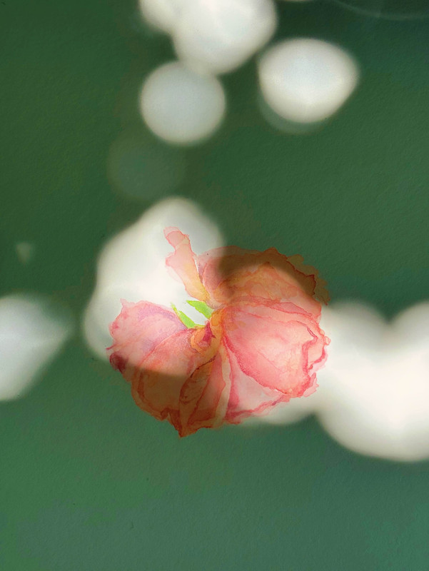 Fragments That Speak