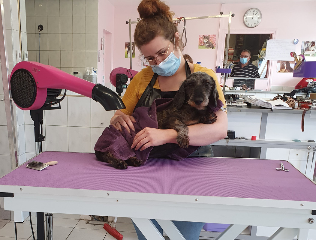 [Image: 20210709-125645.jpg]