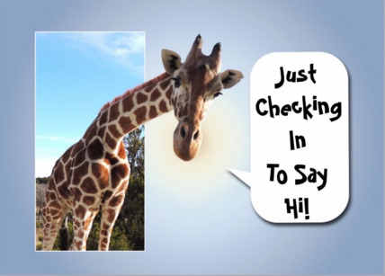 Giraffe-Checking-In-Hi