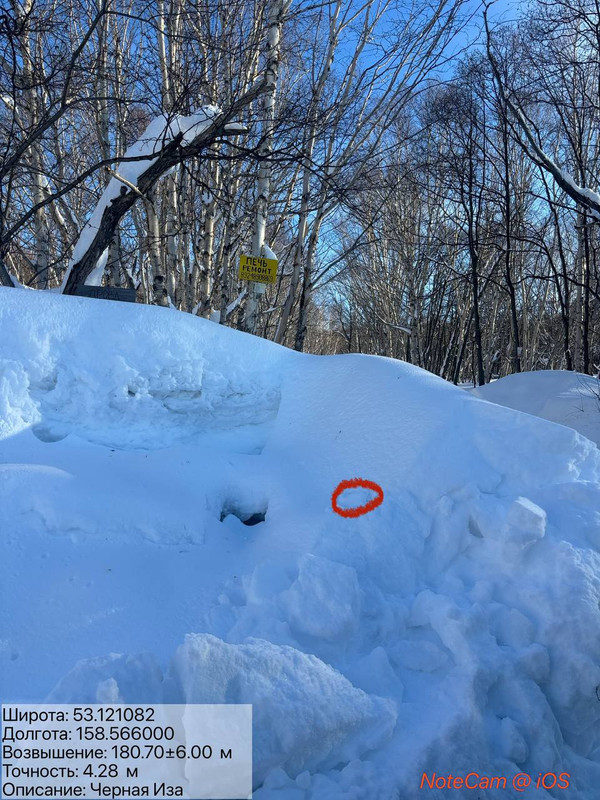 photo 10 2026 02 04 11 55 06